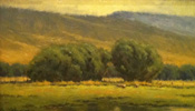 Mountain Valley Sheep